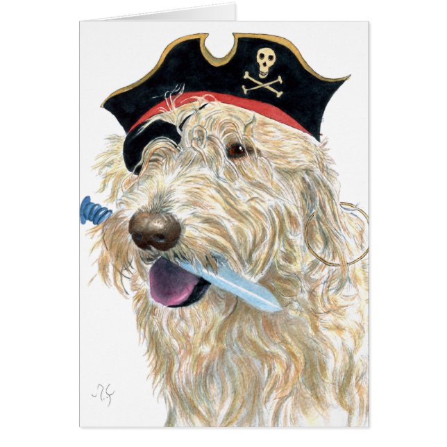Pirate Labradoodle crème (Devant)