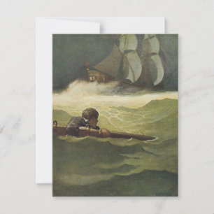Pirates Vintage, Naufrage du Covenant par NC Wyeth