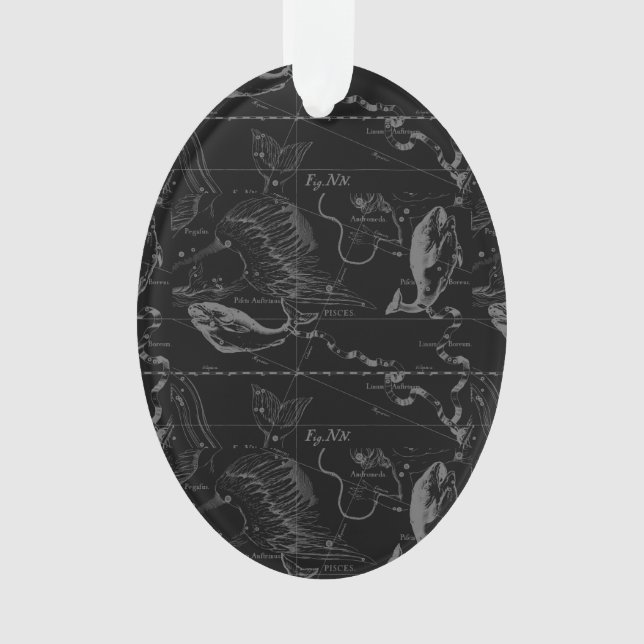 Pisces Constellation Hevelius 1690 Carte Engraving (devant)