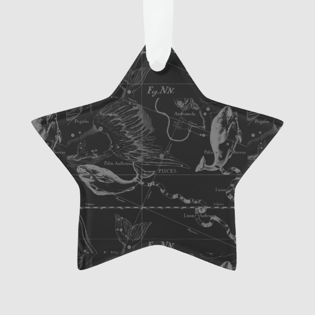 Pisces Constellation Hevelius 1690 Carte Engraving (devant)