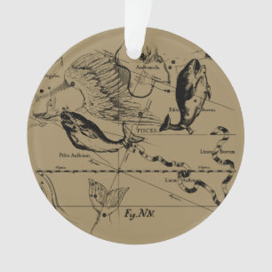 Pisces Constellation Hevelius 1690 Engraving