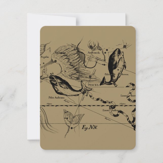 Pisces Constellation Hevelius 1690 févr19 - 20 mar (Devant)