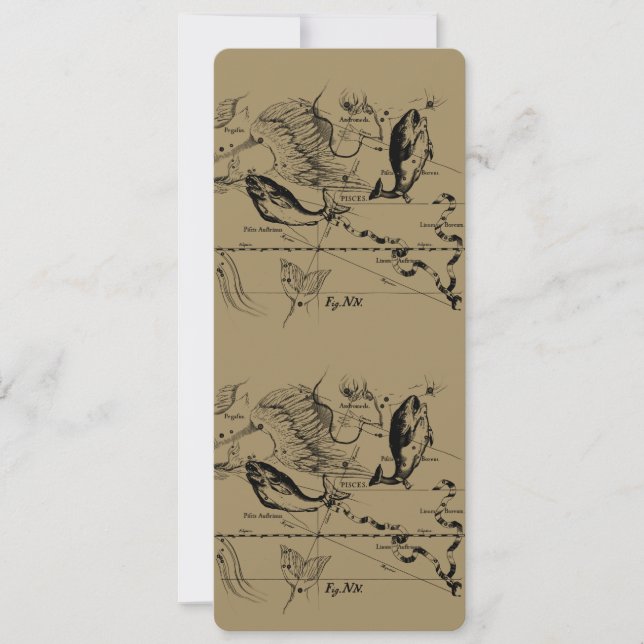 Pisces Constellation Hevelius 1690 févr19 - 20 mar (Devant)