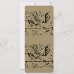 Pisces Constellation Hevelius 1690 févr19 - 20 mar