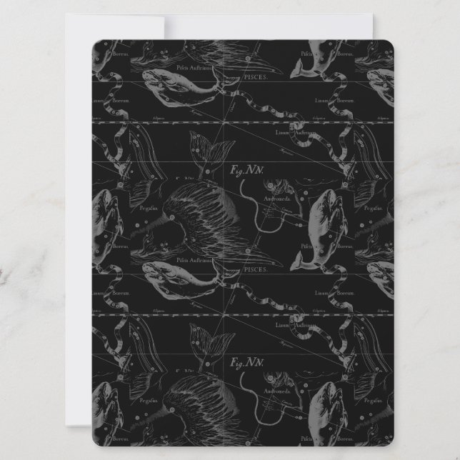 Pisces Constellation Hevelius 1690 févr19 - 20 mar (Devant)