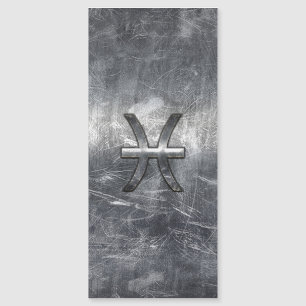 Pisces Zodiac Connexion Grunge Silver Steel Style