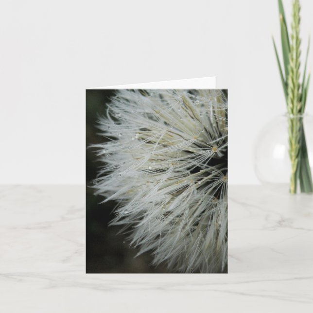 Pissenlit avec la carte de note de rosée (Devant)
