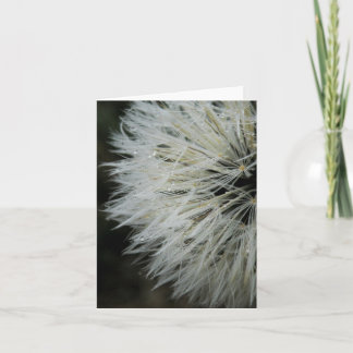 Pissenlit avec la carte de note de rosée