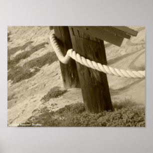 Piste de plage - Poster Sepia