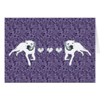 Pitbull américain blanc avec des coeurs/pourpre