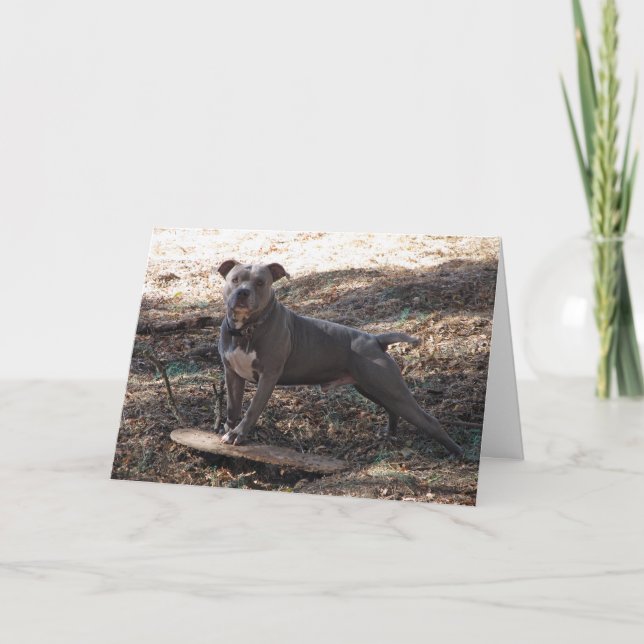 Pitbull avec Carte de remerciements skateboard (Devant)