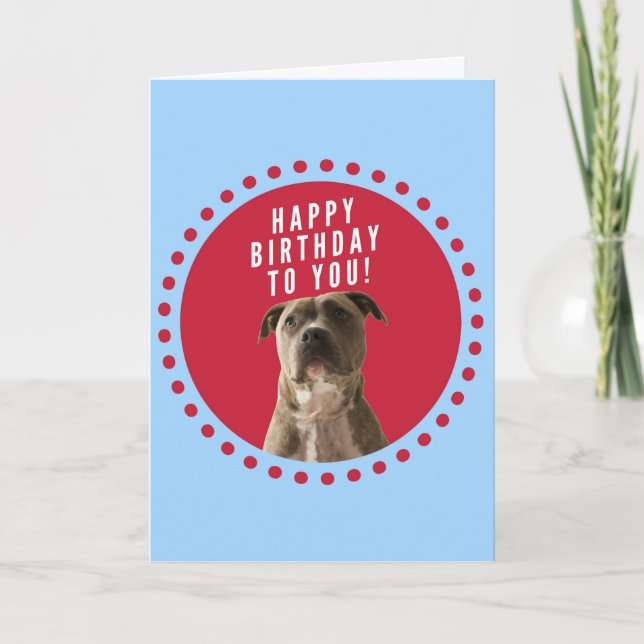 Pitbull Chien Bonne Carte de voeux d'anniversaire  (Devant)