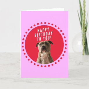 Pitbull Chien joyeux Anniversaire Rose Dots Carte 