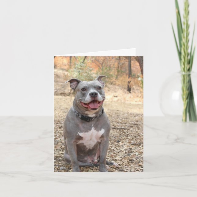 Pitbull Ear-to-Ear Smile Merci Carte de note (Devant)