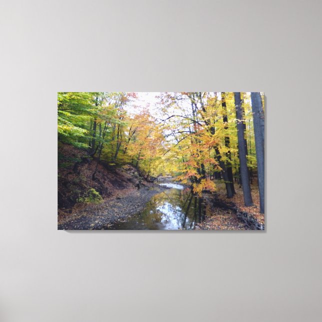 Pittoresque Big Creek (Ohio) Toile enrobée (Recto)
