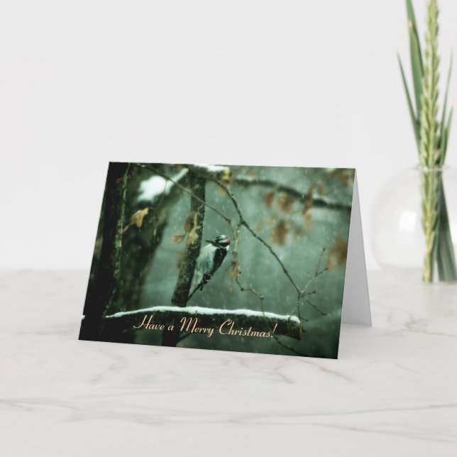 Pivert dans la carte de Noël de neige (Devant)