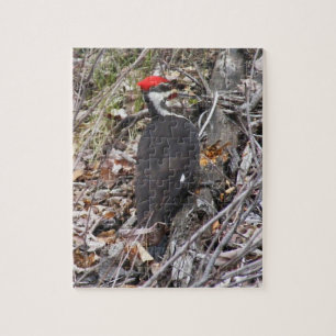 Pivert de Pileated picotant le puzzle