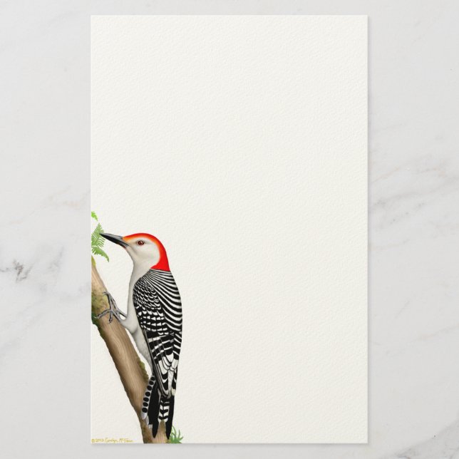 Pivert gonflé par rouge sur une papeterie de (Devant)