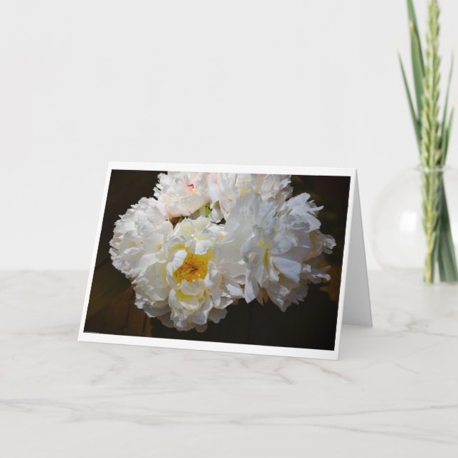 Pivoine, carte (Devant)