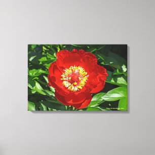 "Pivoine rouge" IMPRIMÉ SUR TOILE ENVELOPPEE HAUT