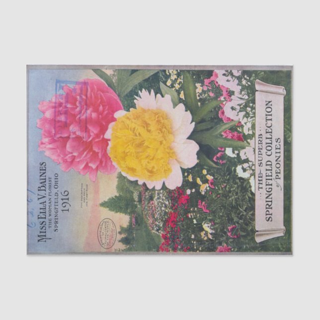 Pivoines antiques de papier de soie de soie d'Ella (Recto)