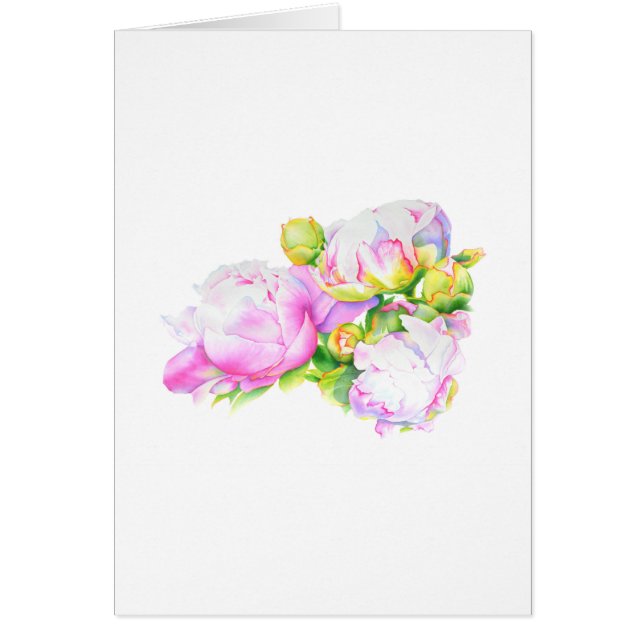 Pivoines, roses, blanches, peinture florale aquare (Devant)