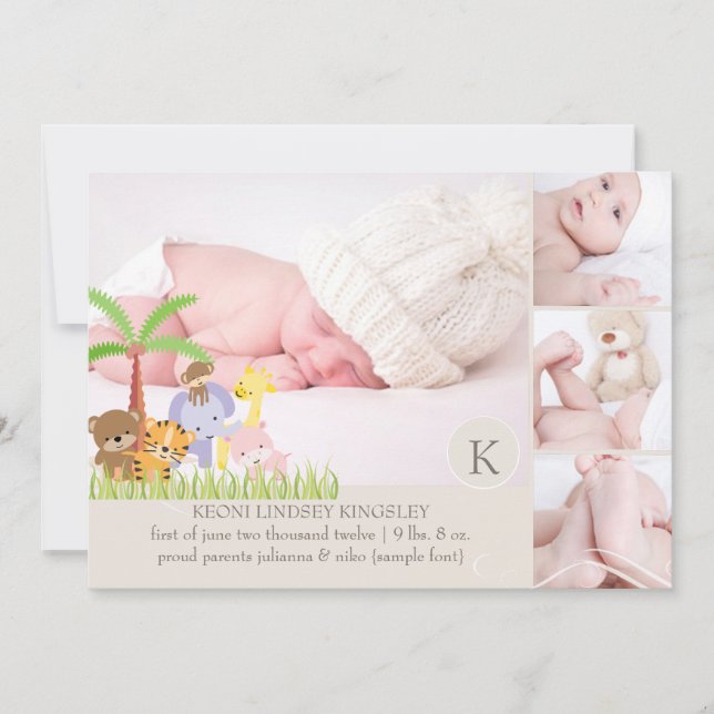 PixDezines safari jungle modèle photo (Devant)