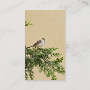 Placement Carte postale de moineau