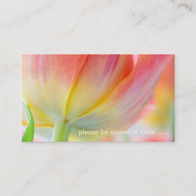 Placement Couleurs du printemps ・ Carte de place (Devant)