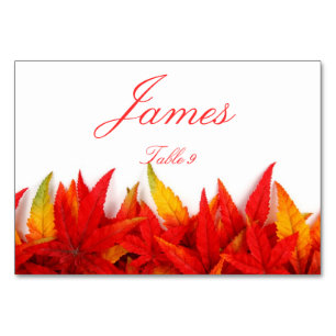 Placer les cartes avec les feuilles d'automne