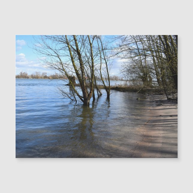 Places perdues, Arbres sur la rive de la rivière (Devant)