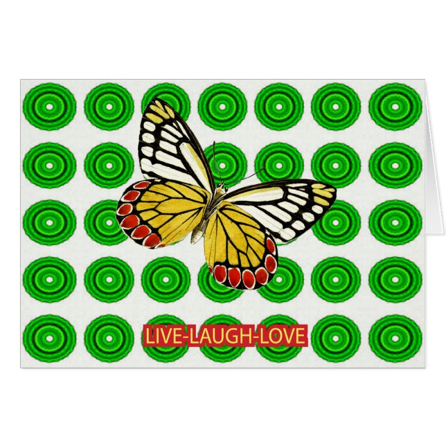 PLAD16-123 (Devant horizontal)