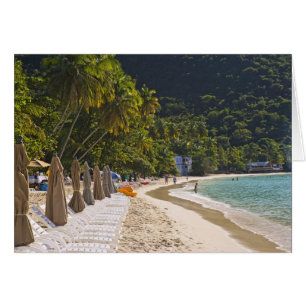 Plage à Cane Garden Bay, île de Tortola