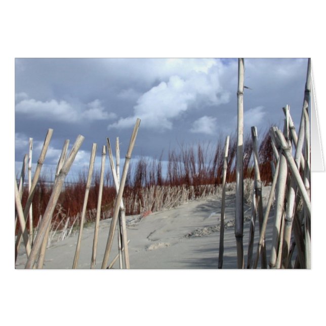 Plage amusant (Devant horizontal)