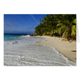 Plage Anse Victorin 2