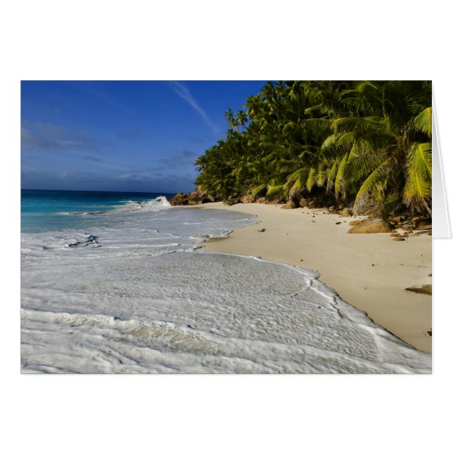 Plage Anse Victorin 2 (Devant horizontal)