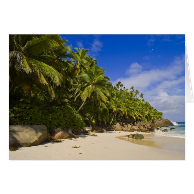 Plage Anse Victorin 3 (Devant horizontal)