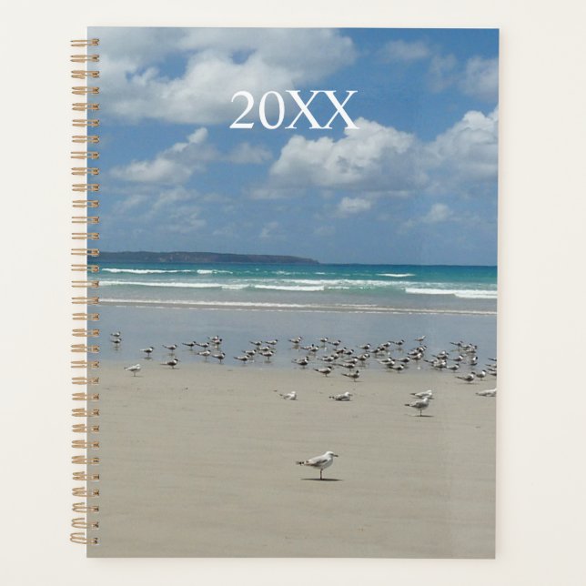 Plage avec mouettes (Devant)