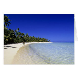 Plage bordée de palmiers Cook Islands 8