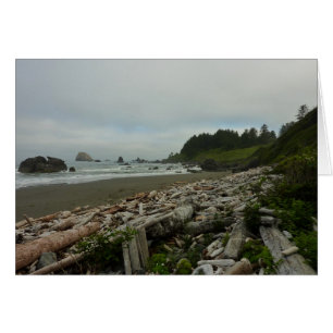 Plage cachée I du parc national de Redwood