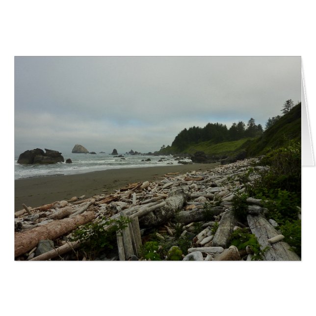 Plage cachée I du parc national de Redwood (Devant horizontal)