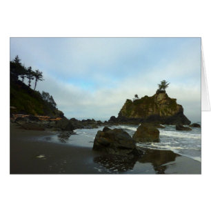 Plage cachée II du parc national de Redwood