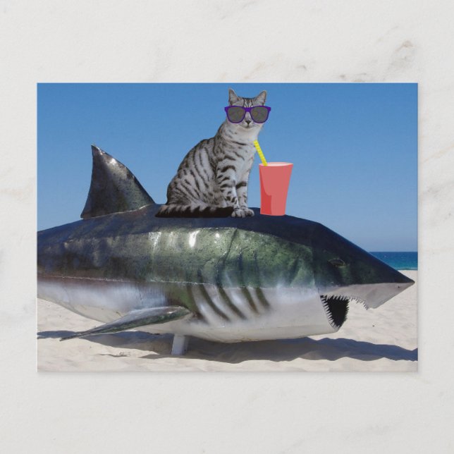 PLAGE CHAT SUR CARTE POSTALE SHARNY FUNNY (Devant)