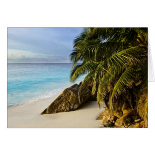 Plage d'Anse Victorin