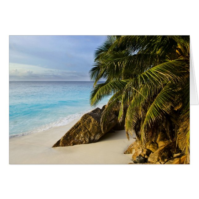 Plage d'Anse Victorin (Devant horizontal)