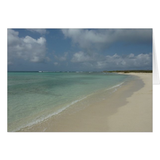 Plage d'Aruba II Magnifique paysage naturel (Devant horizontal)
