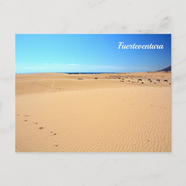 Plage de Fuerteventura - carte postale (Devant)