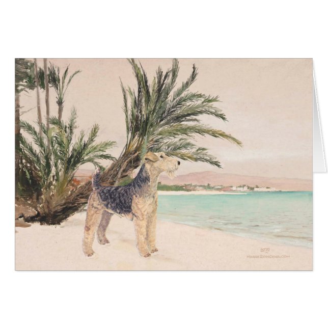 Plage de Palmyre (Devant horizontal)