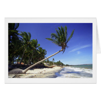 Plage de sable blanc avec palmiers, Mui Ne (Vietna