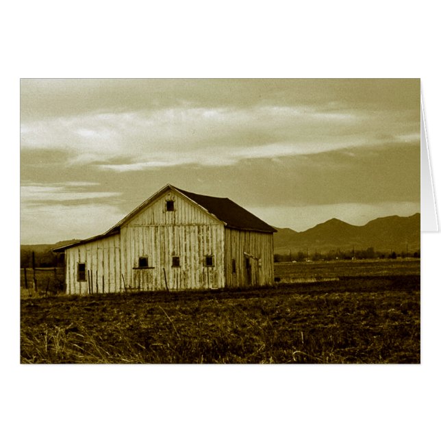 Plage d'objets (Devant horizontal)